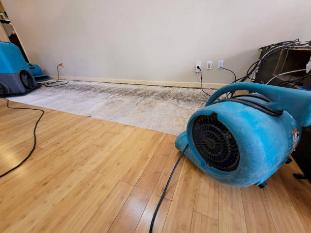 Professional Sewage Cleanup technician working in New Bedford, MA